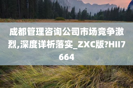 成都管理咨询公司市场竞争激烈,深度详析落实_ZXC版?HII7664