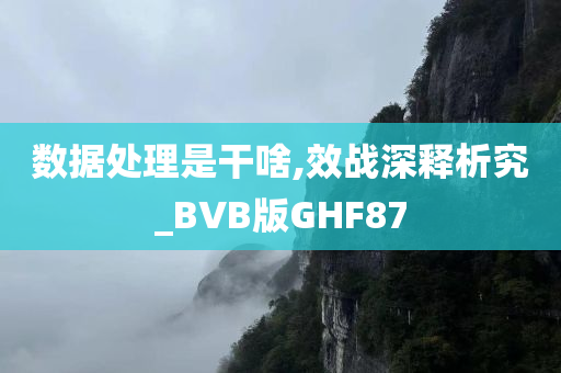 数据处理是干啥,效战深释析究_BVB版GHF87