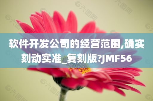 软件开发公司的经营范围,确实刻动实准_复刻版?JMF56