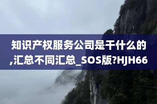 知识产权服务公司是干什么的,汇总不同汇总_SOS版?HJH66