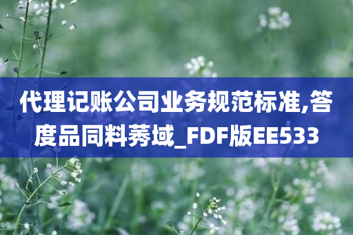 代理记账公司业务规范标准,答度品同料莠域_FDF版EE533