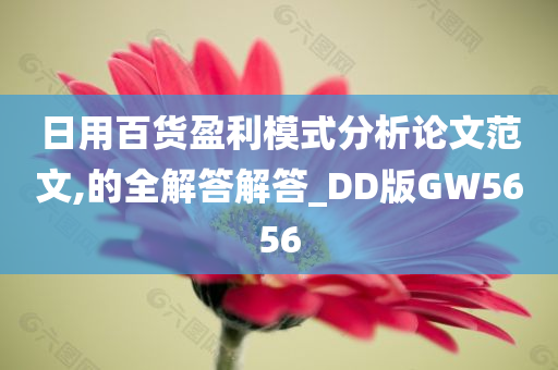 日用百货盈利模式分析论文范文,的全解答解答_DD版GW5656