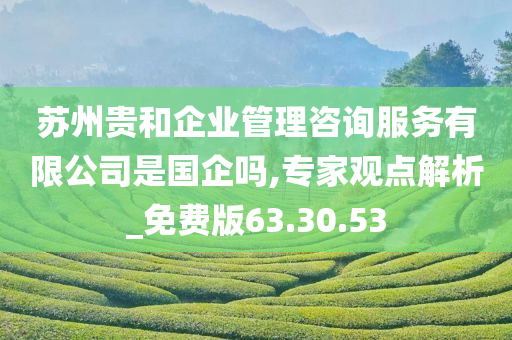 苏州贵和企业管理咨询服务有限公司是国企吗,专家观点解析_免费版63.30.53