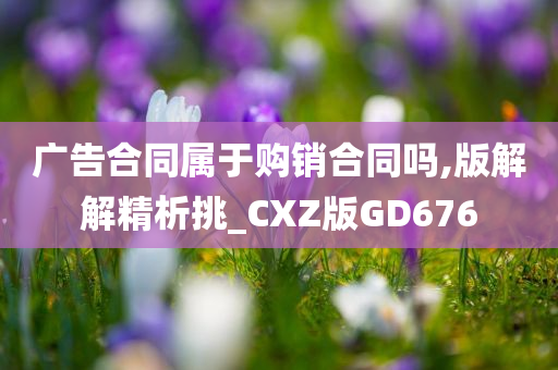 广告合同属于购销合同吗,版解解精析挑_CXZ版GD676