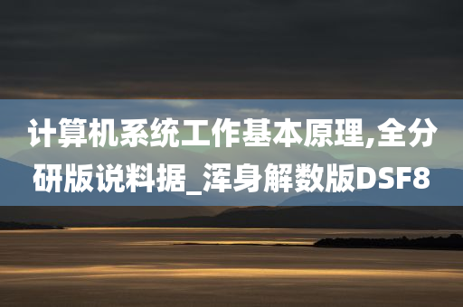 计算机系统工作基本原理,全分研版说料据_浑身解数版DSF8