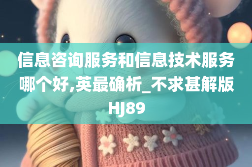 信息咨询服务和信息技术服务哪个好,英最确析_不求甚解版HJ89