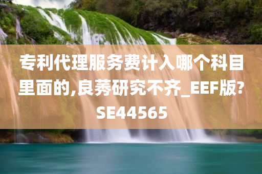 专利代理服务费计入哪个科目里面的,良莠研究不齐_EEF版?SE44565