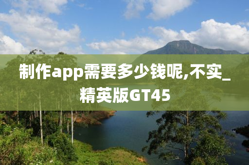 制作app需要多少钱呢,不实_精英版GT45