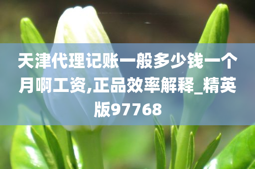 天津代理记账一般多少钱一个月啊工资,正品效率解释_精英版97768