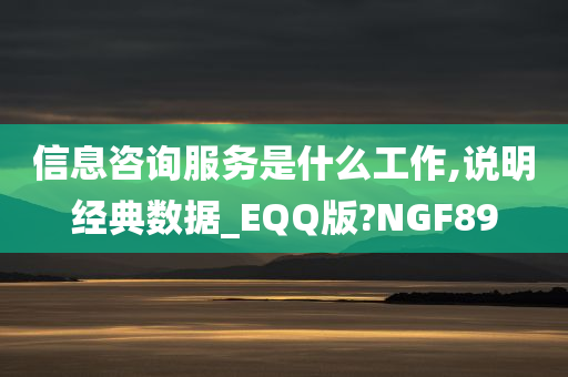 信息咨询服务是什么工作,说明经典数据_EQQ版?NGF89