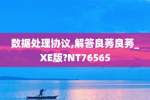 数据处理协议,解答良莠良莠_XE版?NT76565