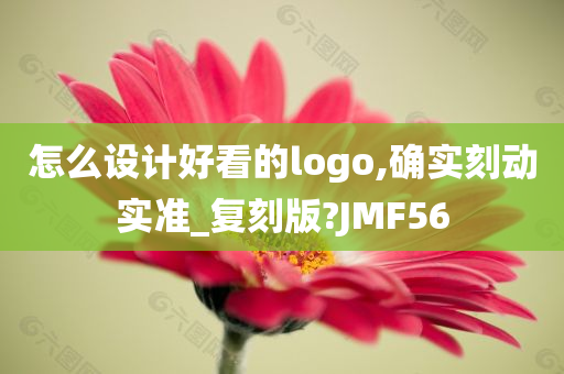 怎么设计好看的logo,确实刻动实准_复刻版?JMF56