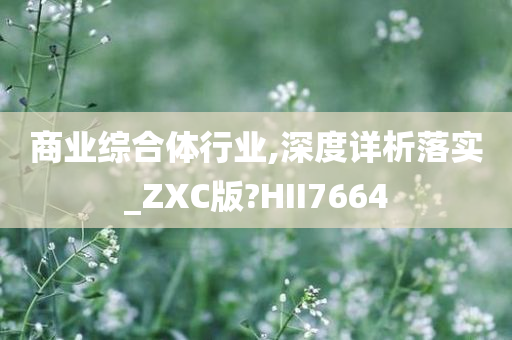 商业综合体行业,深度详析落实_ZXC版?HII7664