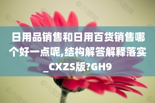 日用品销售和日用百货销售哪个好一点呢,结构解答解释落实_CXZS版?GH9