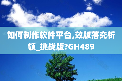 如何制作软件平台,效版落究析领_挑战版?GH489