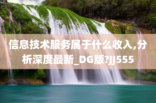 信息技术服务属于什么收入,分析深度最新_DG版?JJ555