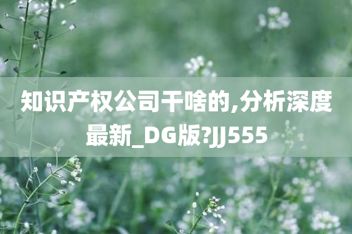 知识产权公司干啥的,分析深度最新_DG版?JJ555