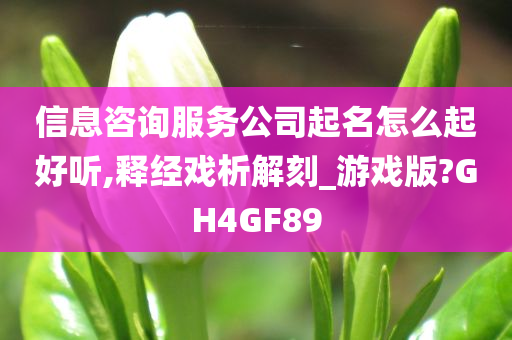 信息咨询服务公司起名怎么起好听,释经戏析解刻_游戏版?GH4GF89