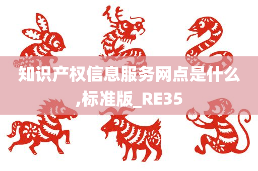 知识产权信息服务网点是什么,标准版_RE35