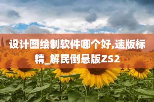 设计图绘制软件哪个好,速版标精_解民倒悬版ZS2