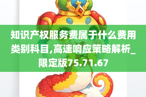 知识产权服务费属于什么费用类别科目,高速响应策略解析_限定版75.71.67