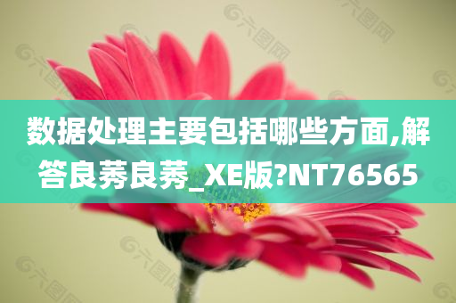 数据处理主要包括哪些方面,解答良莠良莠_XE版?NT76565