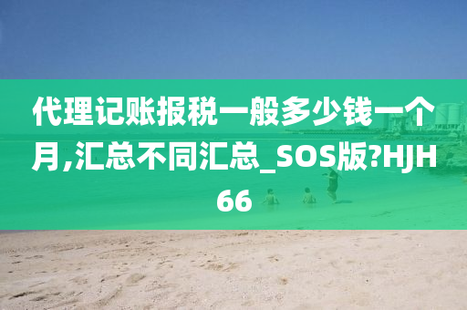 代理记账报税一般多少钱一个月,汇总不同汇总_SOS版?HJH66