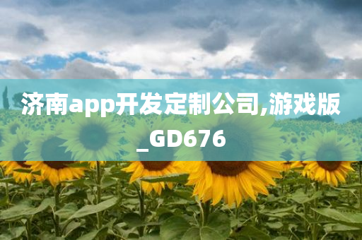 济南app开发定制公司,游戏版_GD676