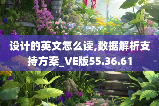 设计的英文怎么读,数据解析支持方案_VE版55.36.61