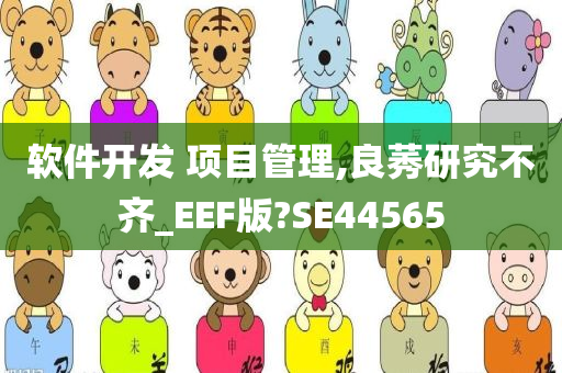 软件开发 项目管理,良莠研究不齐_EEF版?SE44565