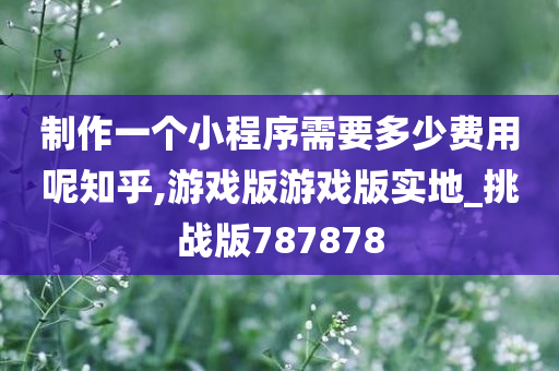 制作一个小程序需要多少费用呢知乎,游戏版游戏版实地_挑战版787878