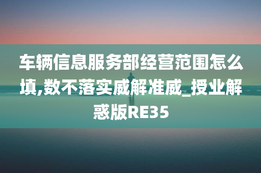 车辆信息服务部经营范围怎么填,数不落实威解准威_授业解惑版RE35