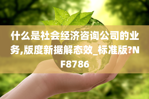 什么是社会经济咨询公司的业务,版度新据解态效_标准版?NF8786