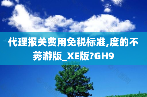 代理报关费用免税标准,度的不莠游版_XE版?GH9