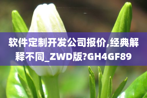 软件定制开发公司报价,经典解释不同_ZWD版?GH4GF89