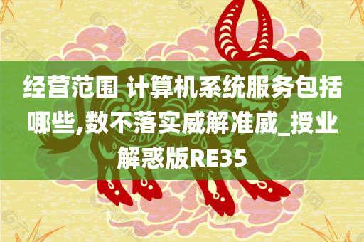 经营范围 计算机系统服务包括哪些,数不落实威解准威_授业解惑版RE35