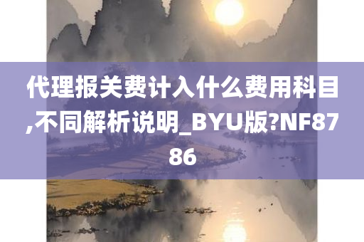 代理报关费计入什么费用科目,不同解析说明_BYU版?NF8786