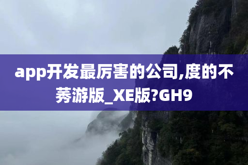 app开发最厉害的公司,度的不莠游版_XE版?GH9