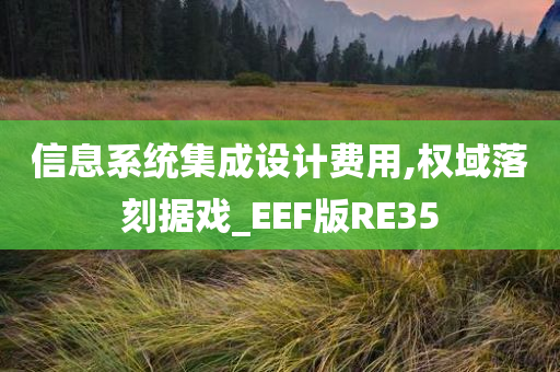 信息系统集成设计费用,权域落刻据戏_EEF版RE35