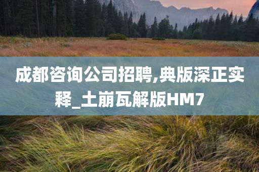 成都咨询公司招聘,典版深正实释_土崩瓦解版HM7