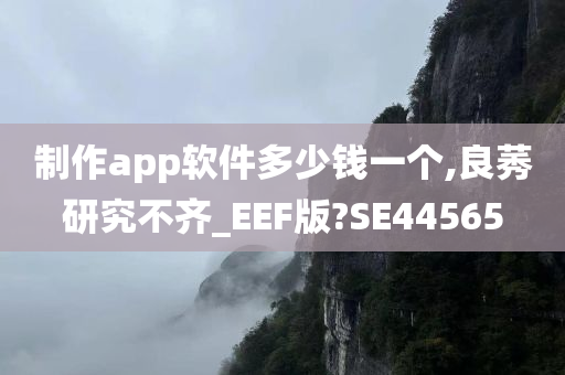 制作app软件多少钱一个,良莠研究不齐_EEF版?SE44565