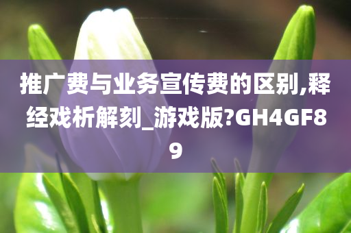 推广费与业务宣传费的区别,释经戏析解刻_游戏版?GH4GF89