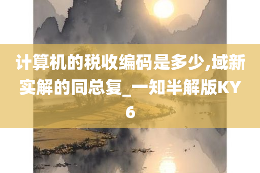 计算机的税收编码是多少,域新实解的同总复_一知半解版KY6