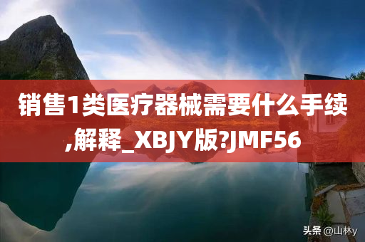 销售1类医疗器械需要什么手续,解释_XBJY版?JMF56