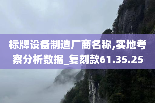 标牌设备制造厂商名称,实地考察分析数据_复刻款61.35.25