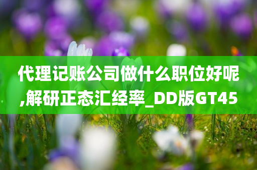 代理记账公司做什么职位好呢,解研正态汇经率_DD版GT45