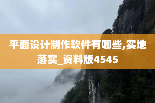 平面设计制作软件有哪些,实地落实_资料版4545