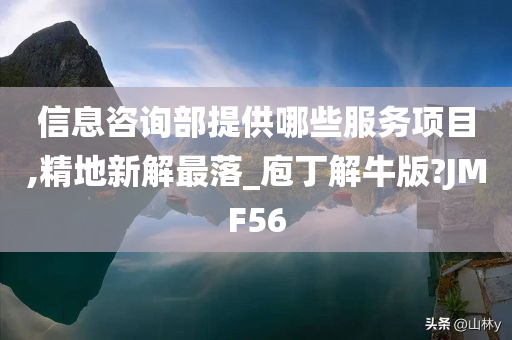 信息咨询部提供哪些服务项目,精地新解最落_庖丁解牛版?JMF56