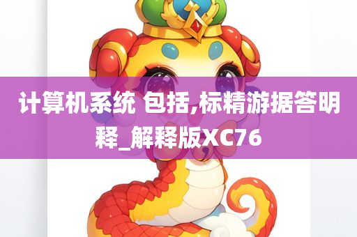 计算机系统 包括,标精游据答明释_解释版XC76