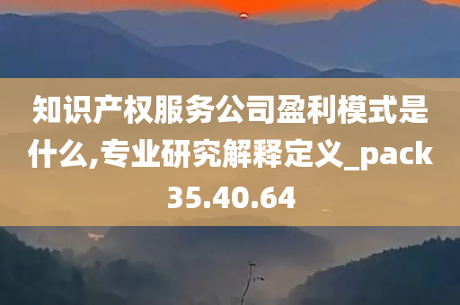 知识产权服务公司盈利模式是什么,专业研究解释定义_pack35.40.64